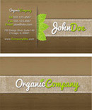 ������Ƭ