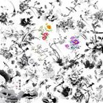 ˮī����Ԫ��