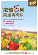 ����Ũ��6��