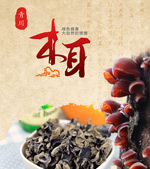 �നľ������