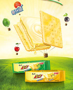 ��ʦ�����ɹ��