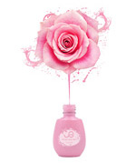 ����ָ���ͺ���