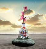 ���⻨ƿ��ʯͷ