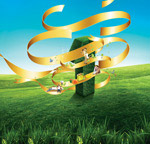 ˿����ɫ��������