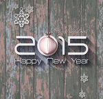 2015���������
