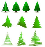 ��Լ��ɫʥ����