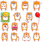 �ɰ���è����