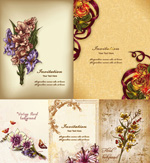 ���Ż��䱳��