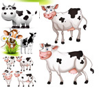 �ɰ���ͨ��ţ