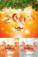 2013����logo