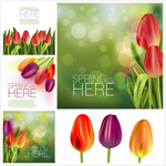 �λ�������ʸ��