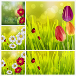 ư����������ջ�