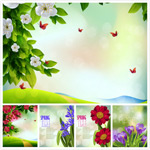 С·����Ҷ����