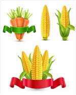 ���׺��ܲ�ʸ��