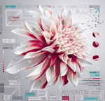 ������ʸ��