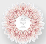 ����������ͼ��