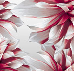 ������ʸ��