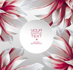 ����Բ��ͼ��