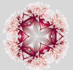 Բ�λ���ʸ��