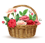 ������Ļ���