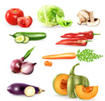 ���ˮ��ʸ��