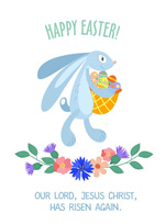 ����ڲʵ�����