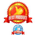 ����˿������