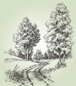 �����ֻ�ѩ��