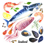 �ֻ溣��ʳ��