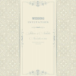 ���Ʊ߿��������