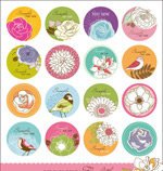 Բ���ֻ�廭ͼ��