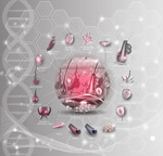 Ƥ����֯����ͼ��