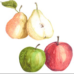 �ֻ�����ƻ��