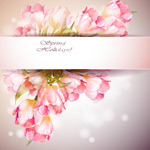 �ۺ�ɫ�ʻ��߿�