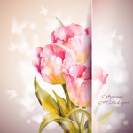 �ۺ�ɫ�ʻ�����