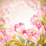 ����߿򱳾�