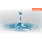 ����ɫˮ�β���