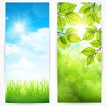 ֲ�ﱳ��ʸ��