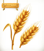 ��ɫС��ʸ��