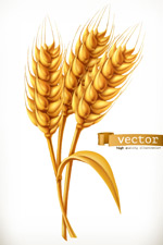 ��ɫС��ʸ��