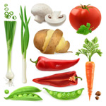 �����߲�ʸ��