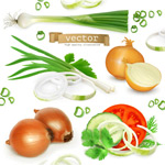 �߹�ԭ����ʸ��