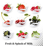 �ɽ���ţ�̽���