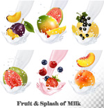 ���ʵ�ţ��ˮ��