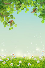 С��ֲ�ﱳ��