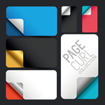 ��ɫ���Ǳ�ǩ