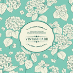 ��ɫ���Ʊ߿�