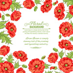 ��ɫ����߿�