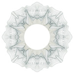 �����α����