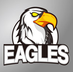 ��ɫ��ӥͼ��